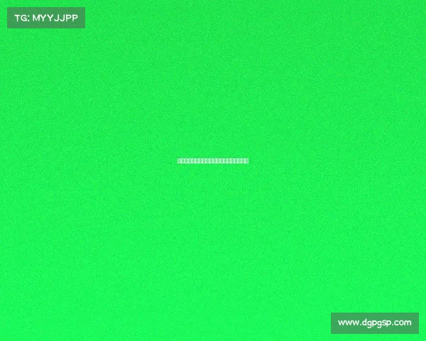 中国各大体育联赛开赛年表及其发展历程概览